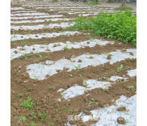 產(chǎn)品庫地膜的全面解析 功能、類型與使用指南